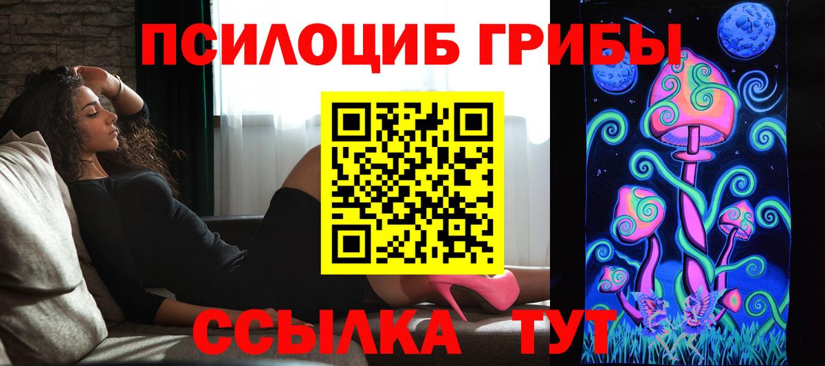 Псилоцибиновые грибы Cubensis  Вход с VPN  Галлюциногенные грибы мухоморы  Саратов 