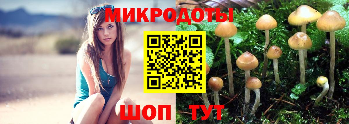 Псилоцибиновые грибы Cubensis Саратов